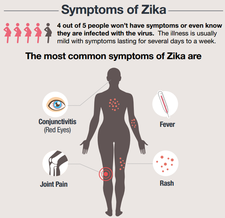 Zika Virus What We Need To Know IQ Solutions